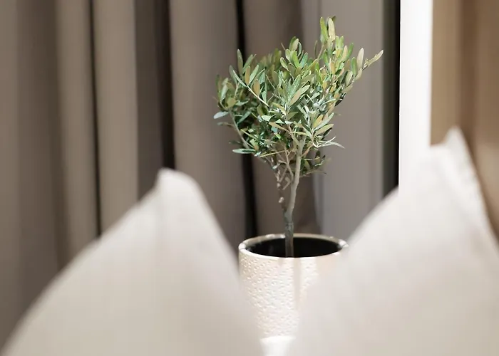 Cavo Delea & Appartement