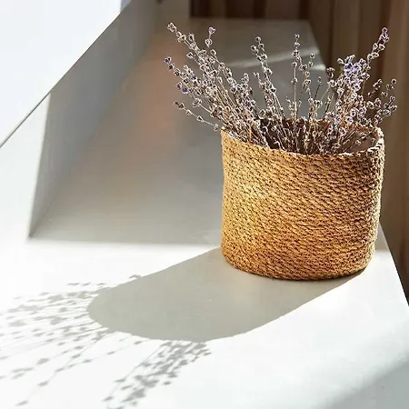 Cavo Delea & Apartment *