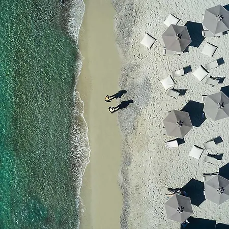 Daire Cavo Delea & *