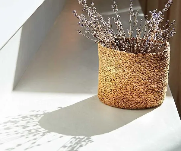 Cavo Delea Villas&suites Appartamento *